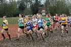 Senior womens 2018 British Inter Counties Cross Country Champs., Prestwold Hall, Loughborough. Photo: David T. Hewitson/Sports for All Pics
